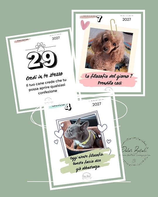 CANENDARIO® 2027 🐾
