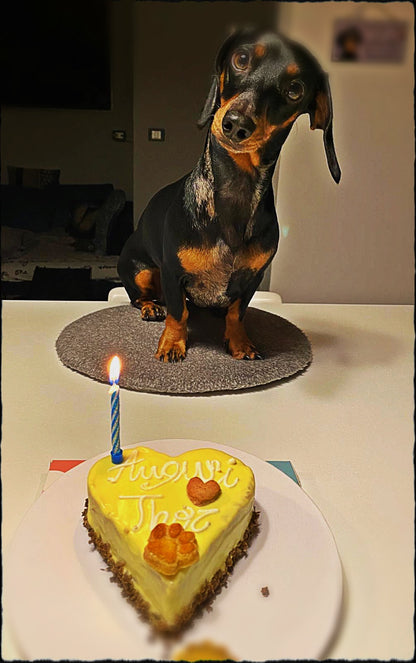 Torte da Personalizzare