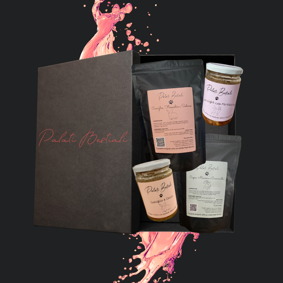 Bauletto Multi Experience